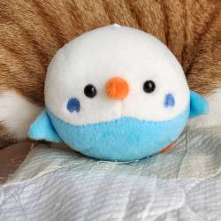 インコをデフォルメしたまん丸のぬいぐるみ