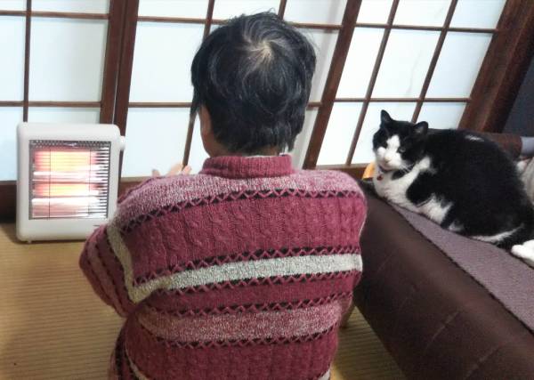 小さい遠赤外線ヒーターで暖を取る猫のここと母の画像。