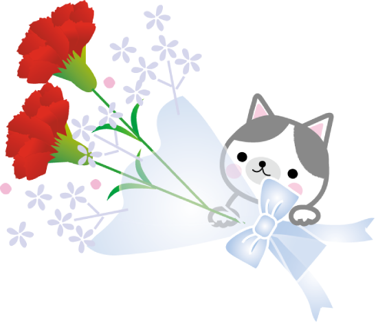 猫がカーネイションの花束を持っているイラスト